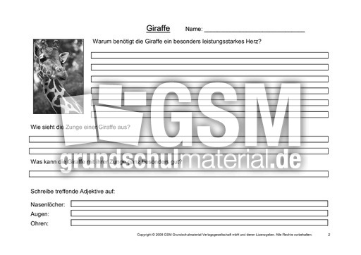 Giraffe-Fragen-2.pdf